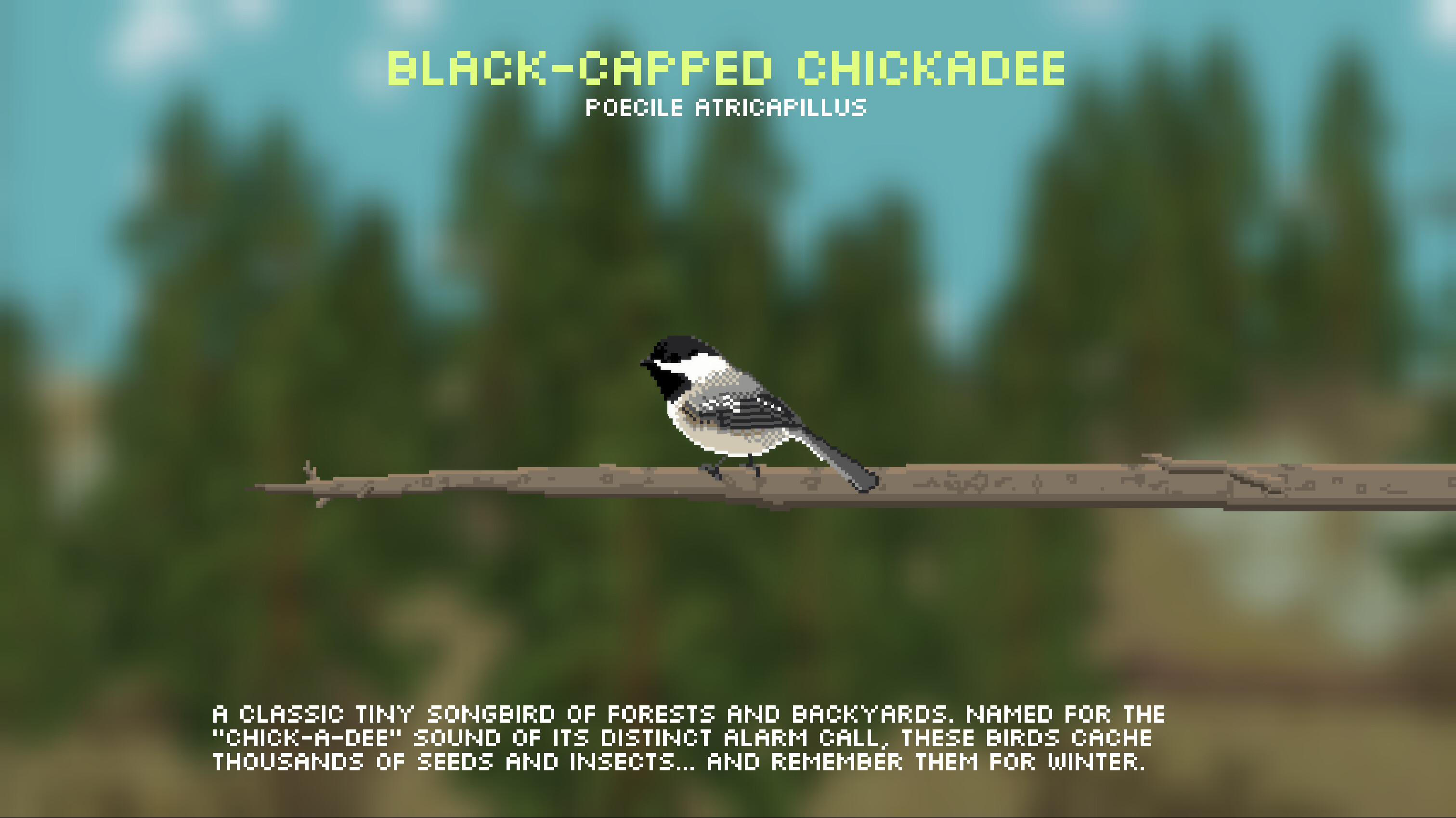 Feather Trail screenshot 5