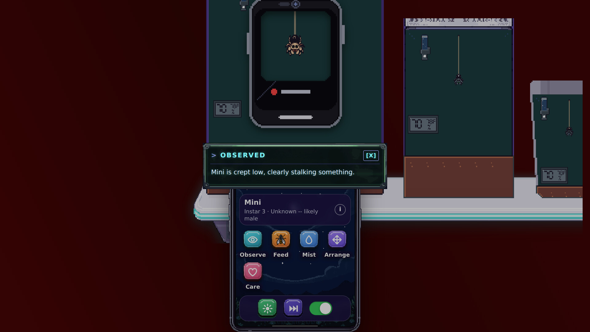 Salticidae Story screenshot 2