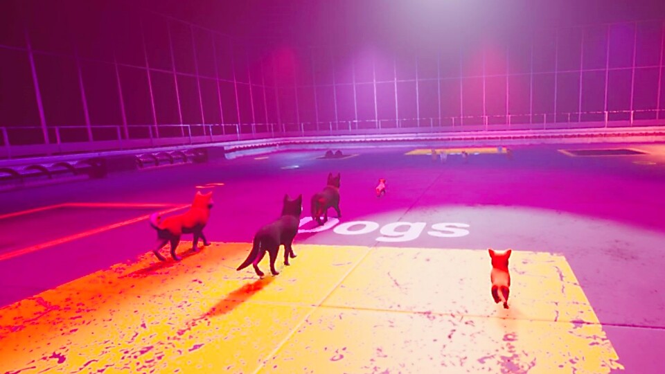 Claw Clash: Cat vs Dog Betting screenshot 4