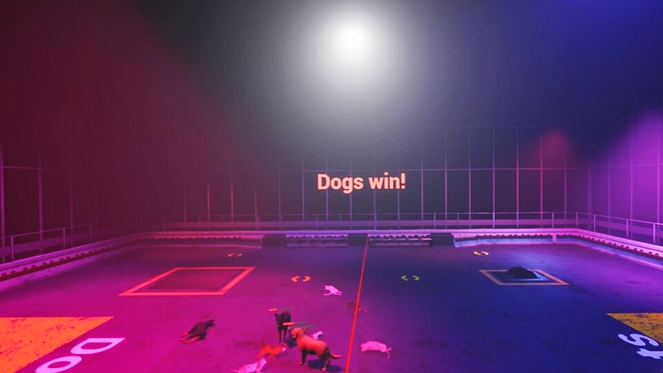 Claw Clash: Cat vs Dog Betting screenshot 2