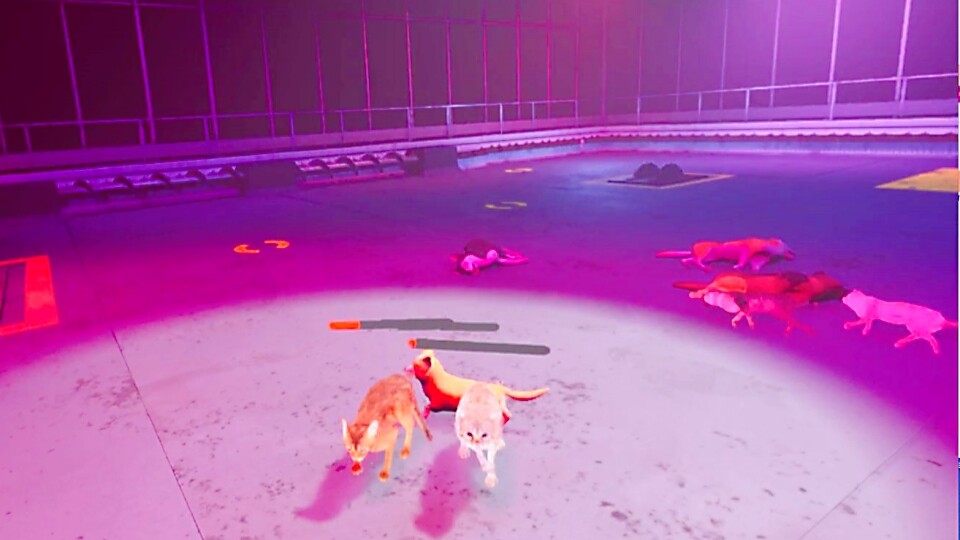 Claw Clash: Cat vs Dog Betting screenshot 5