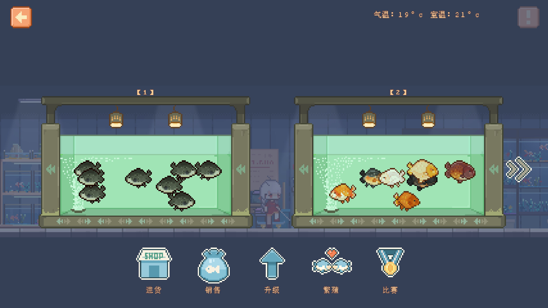 宠物街金鱼姬 Pet Street Story screenshot 2