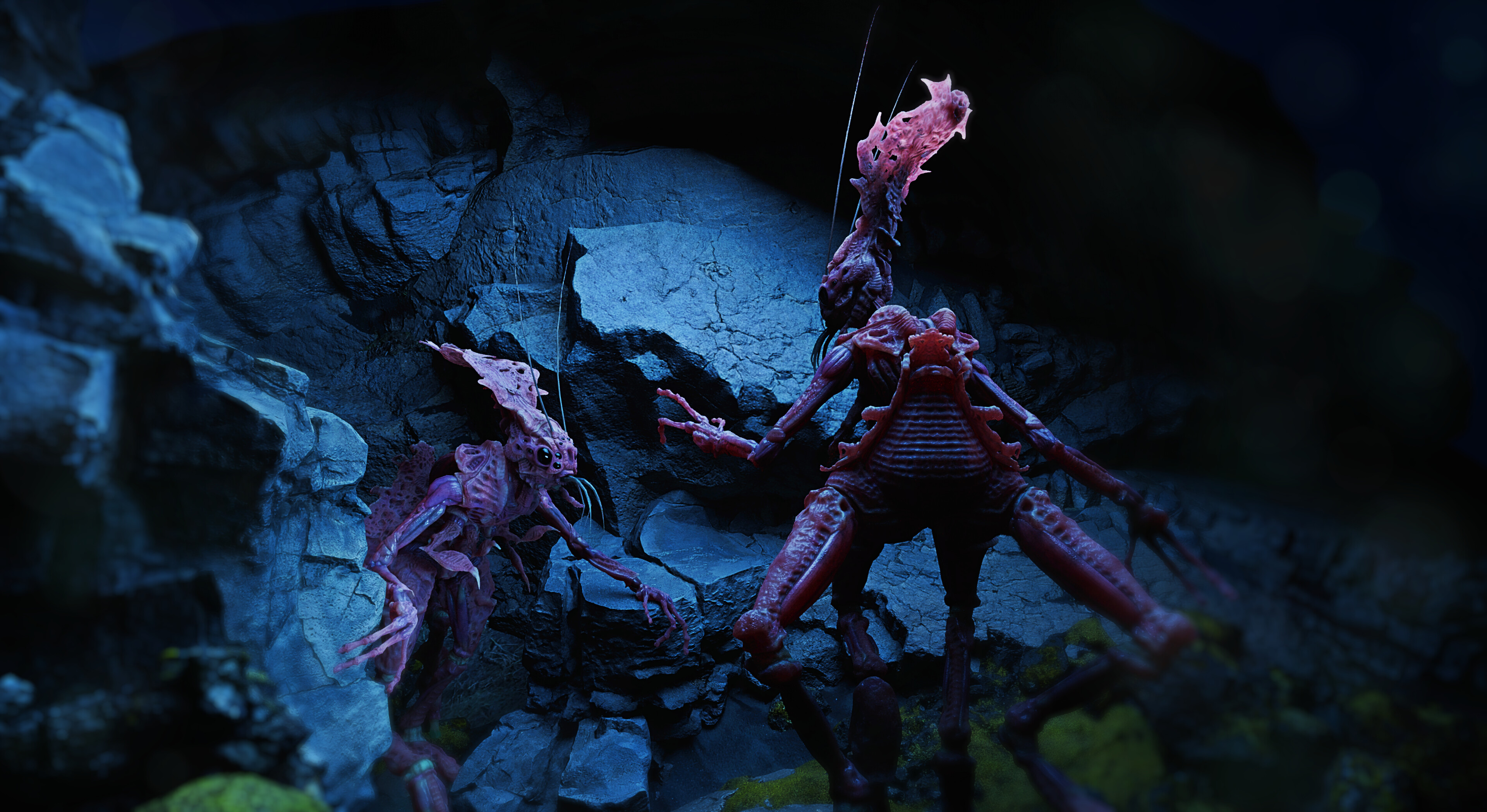 Sifera screenshot 2