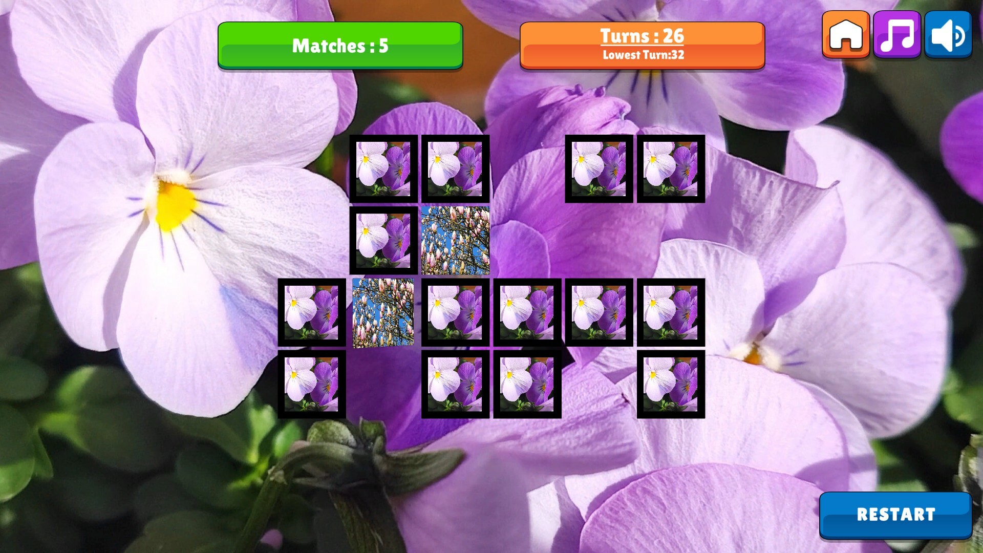 OG Memory: Spring 2K24 screenshot 2