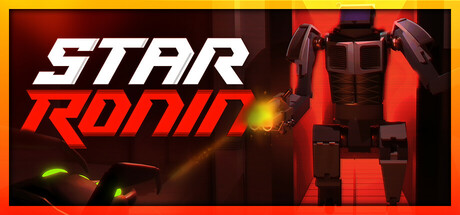 Cover art from Star Ronin