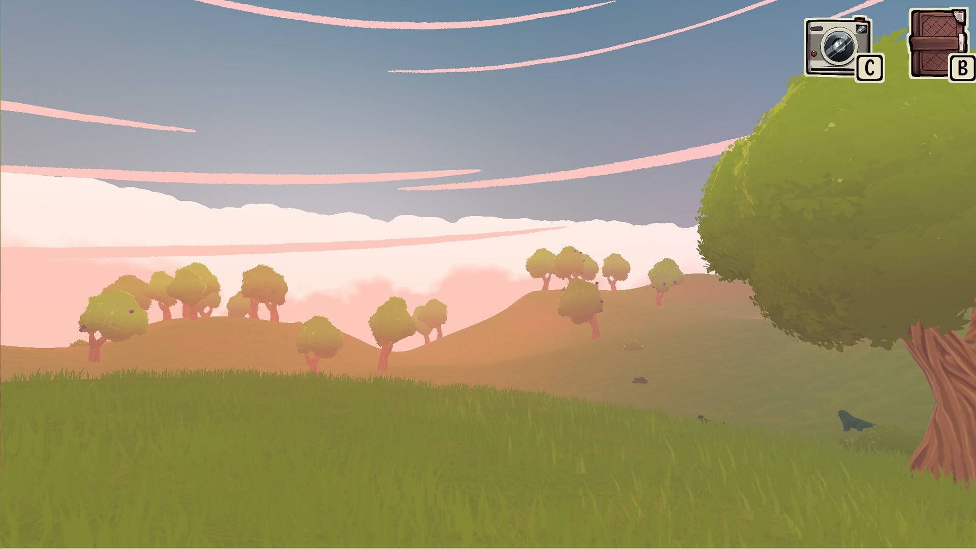 Picterra trailer