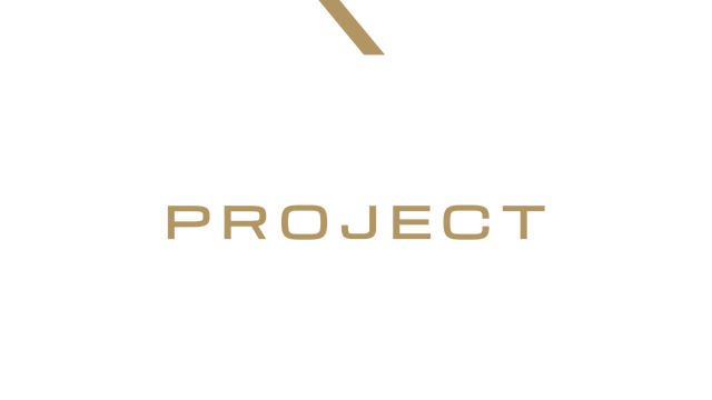 Project Motor Racing