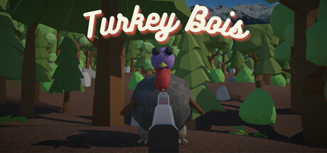 Cover art from Turkey Bois