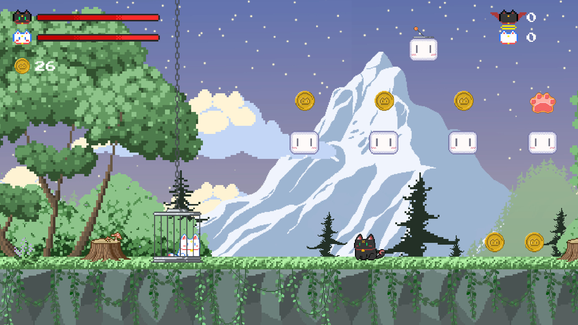 Adventure Paws trailer