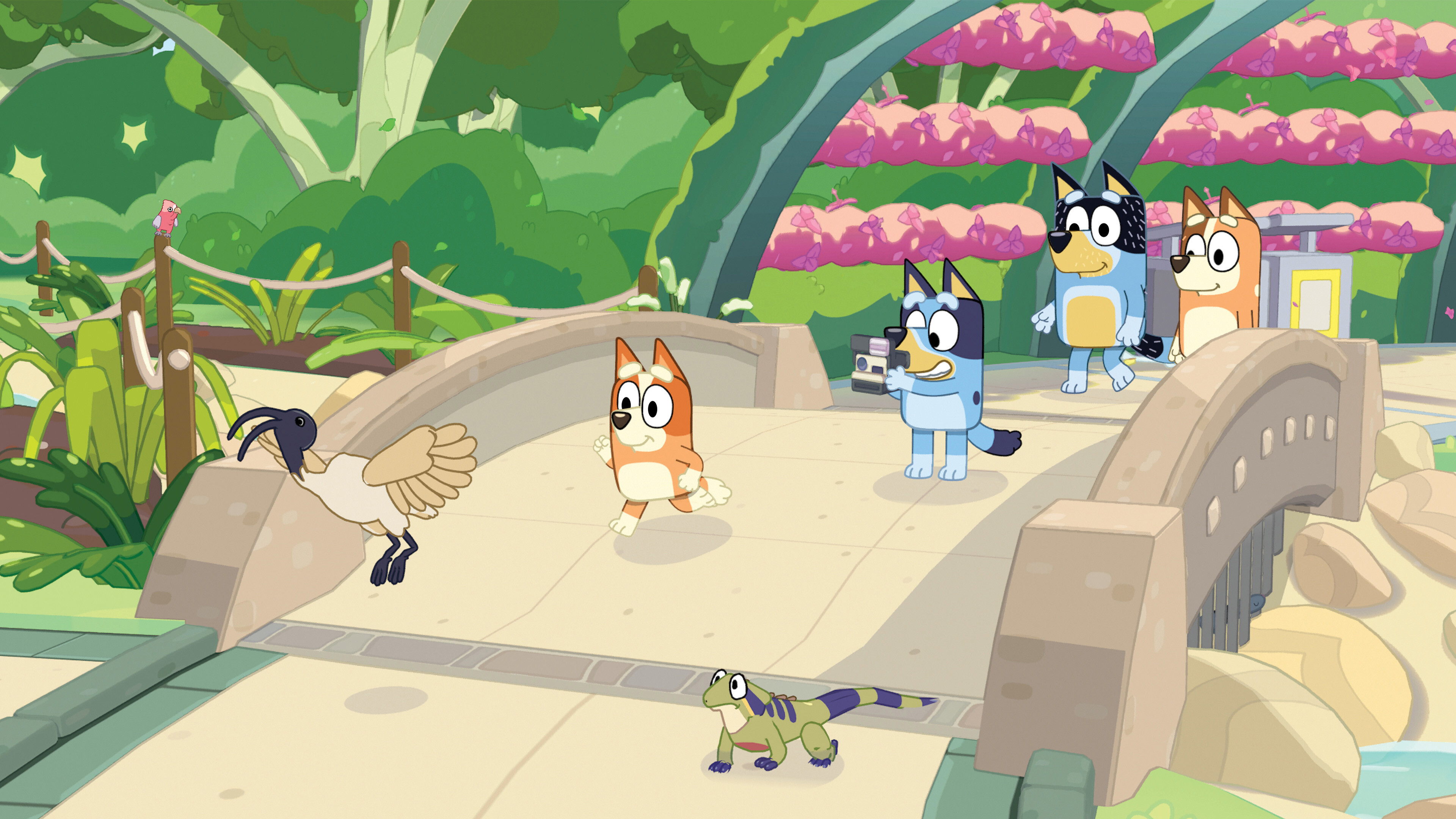 Bluey's Happy Snaps trailer