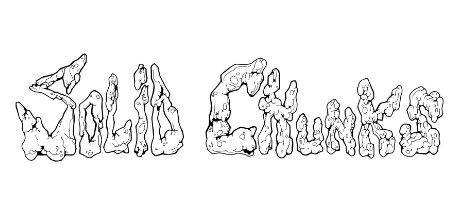 Cover art from Solid Chunks