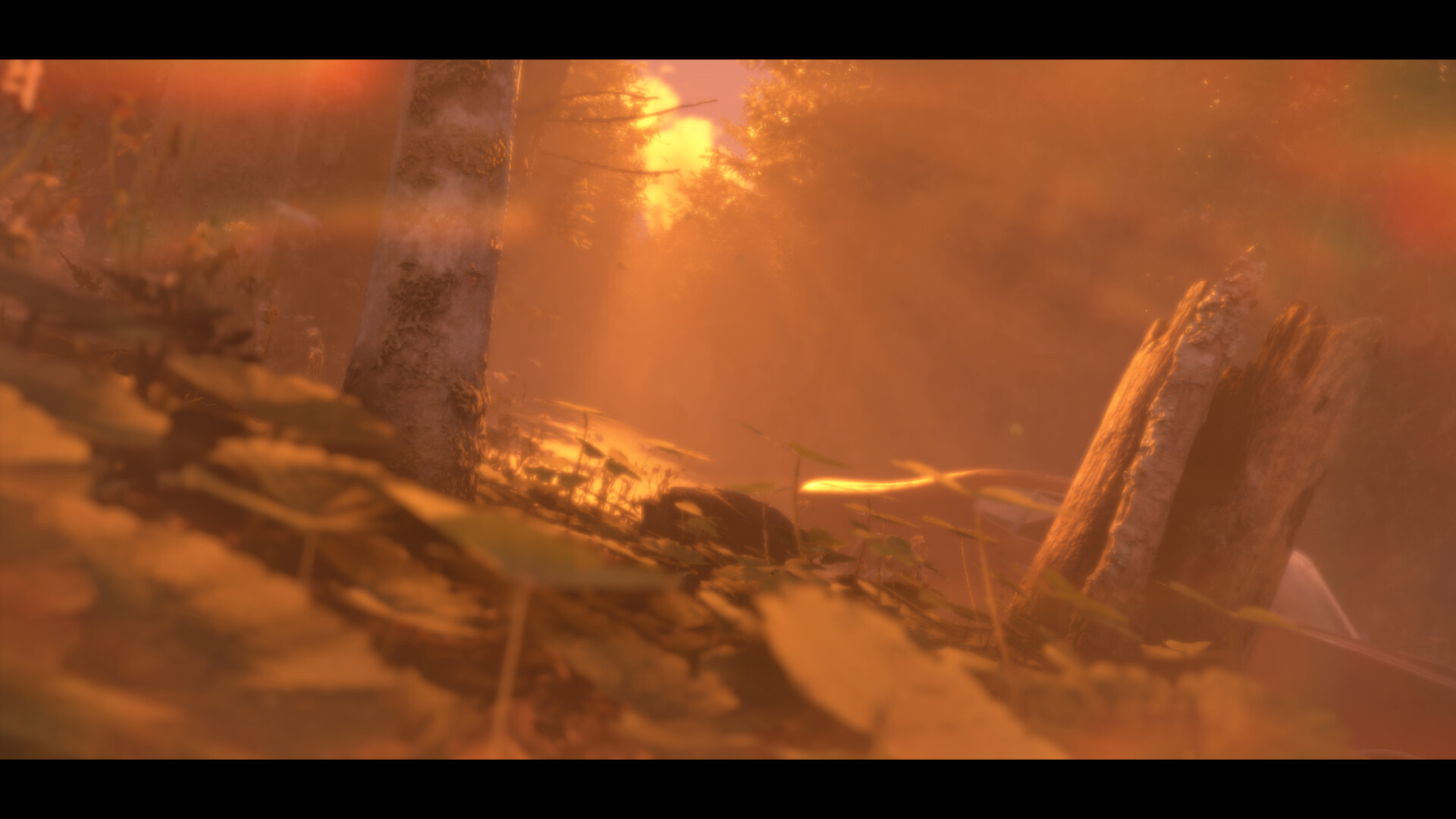 Distant trailer