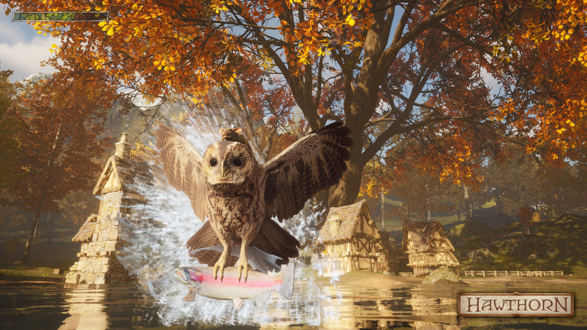 Hawthorn screenshot 2