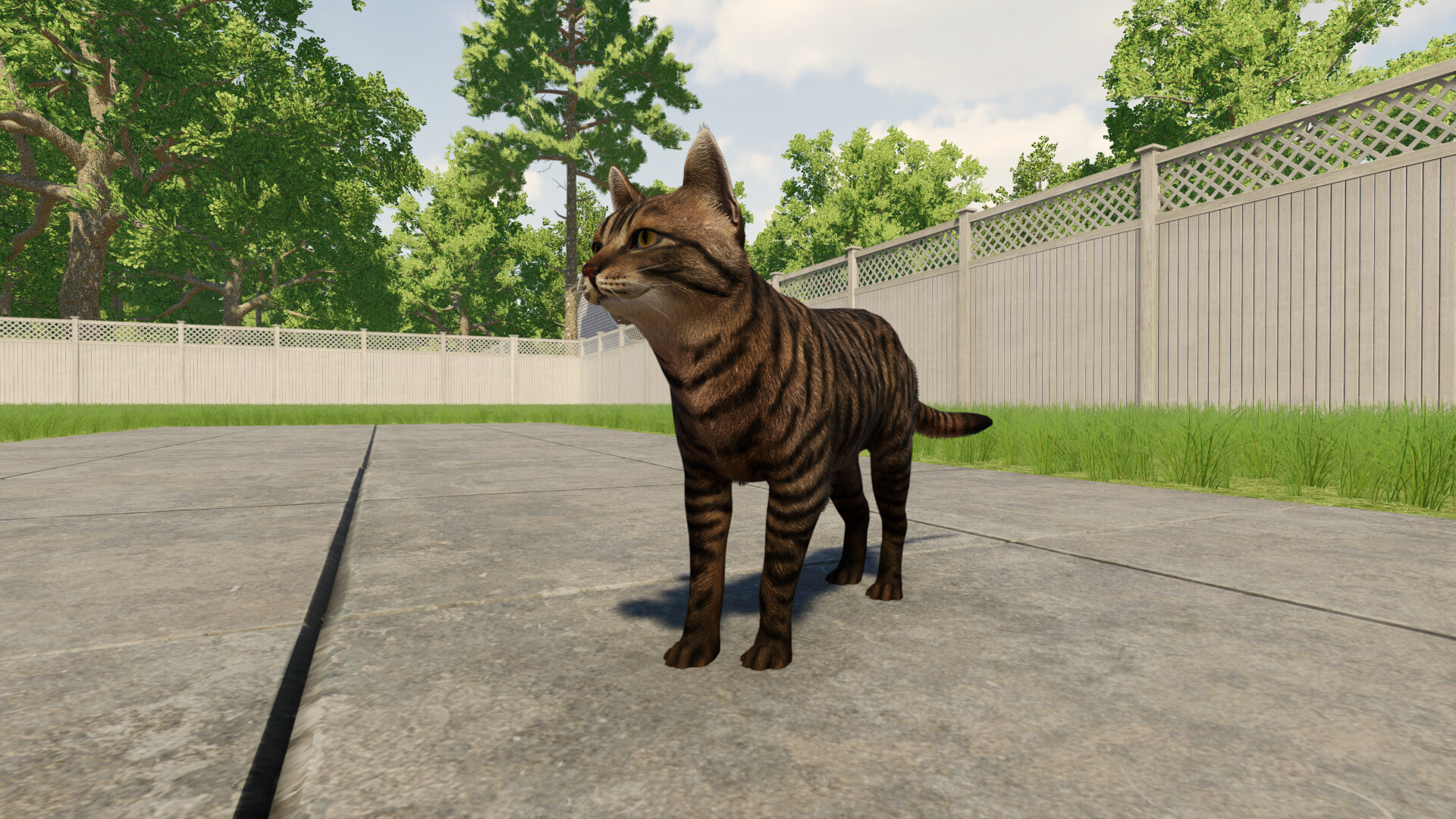 Reign of Cats screenshot 2