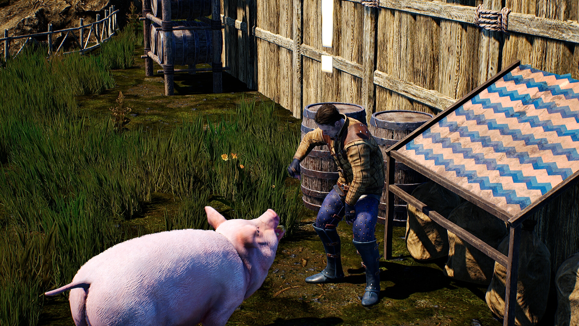 Medieval Pig screenshot 5