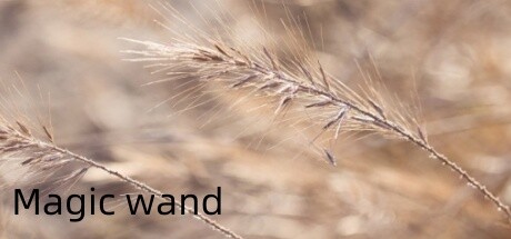 Cover art from Magic wand