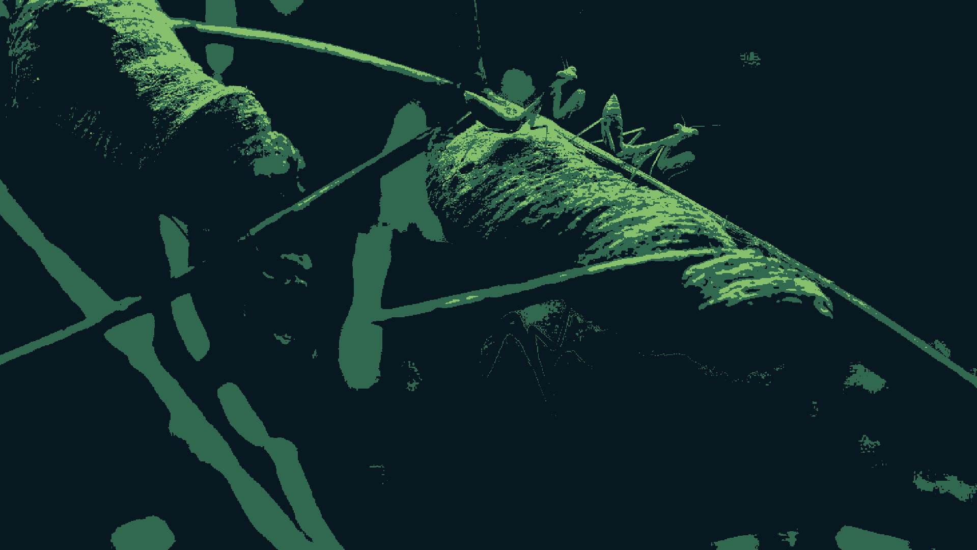 Brood Year screenshot 3