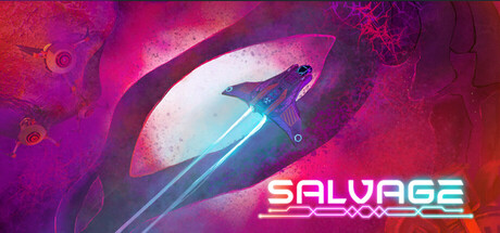 Cover art from Salvage