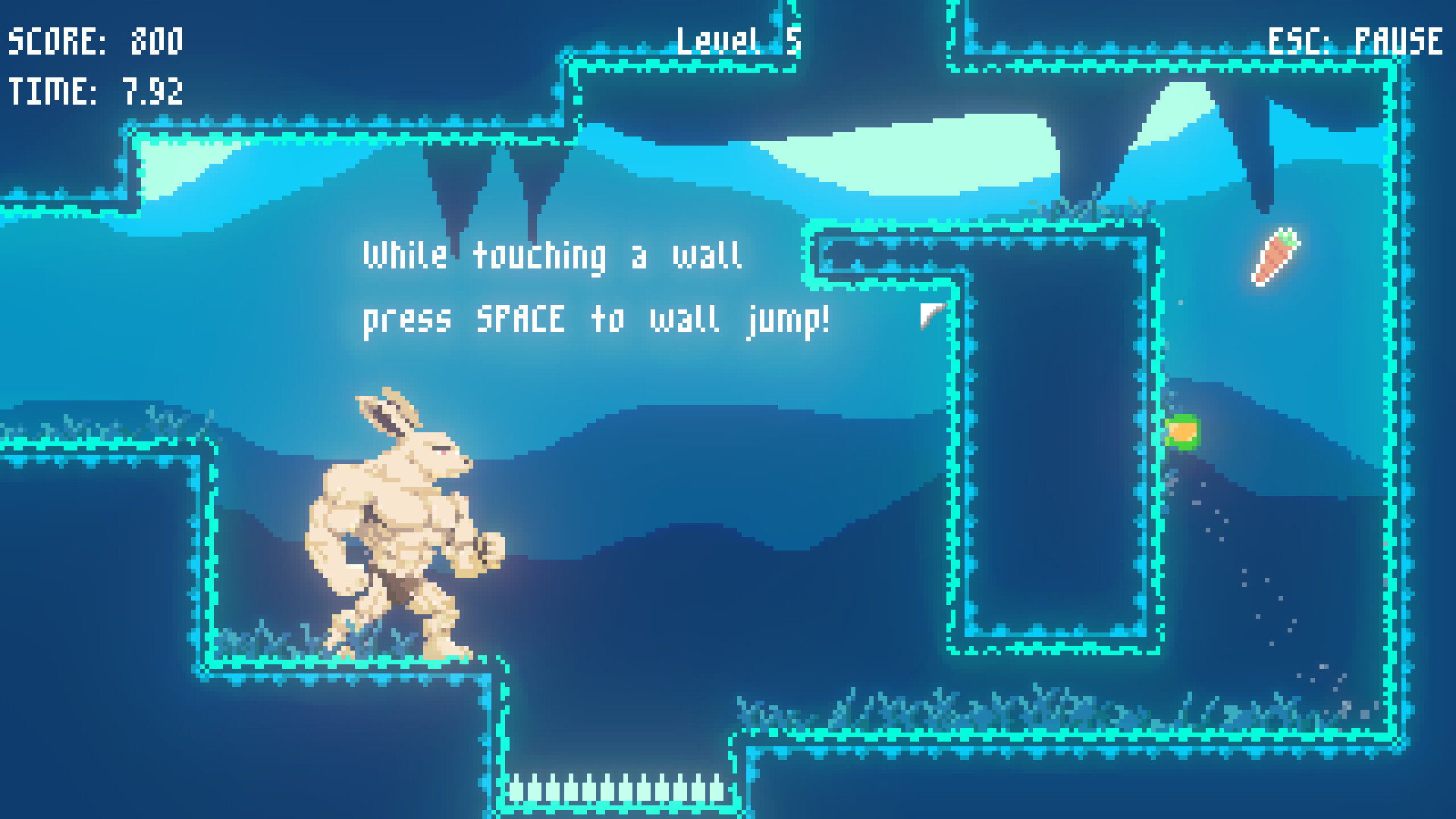 Carrot Catcher screenshot 4