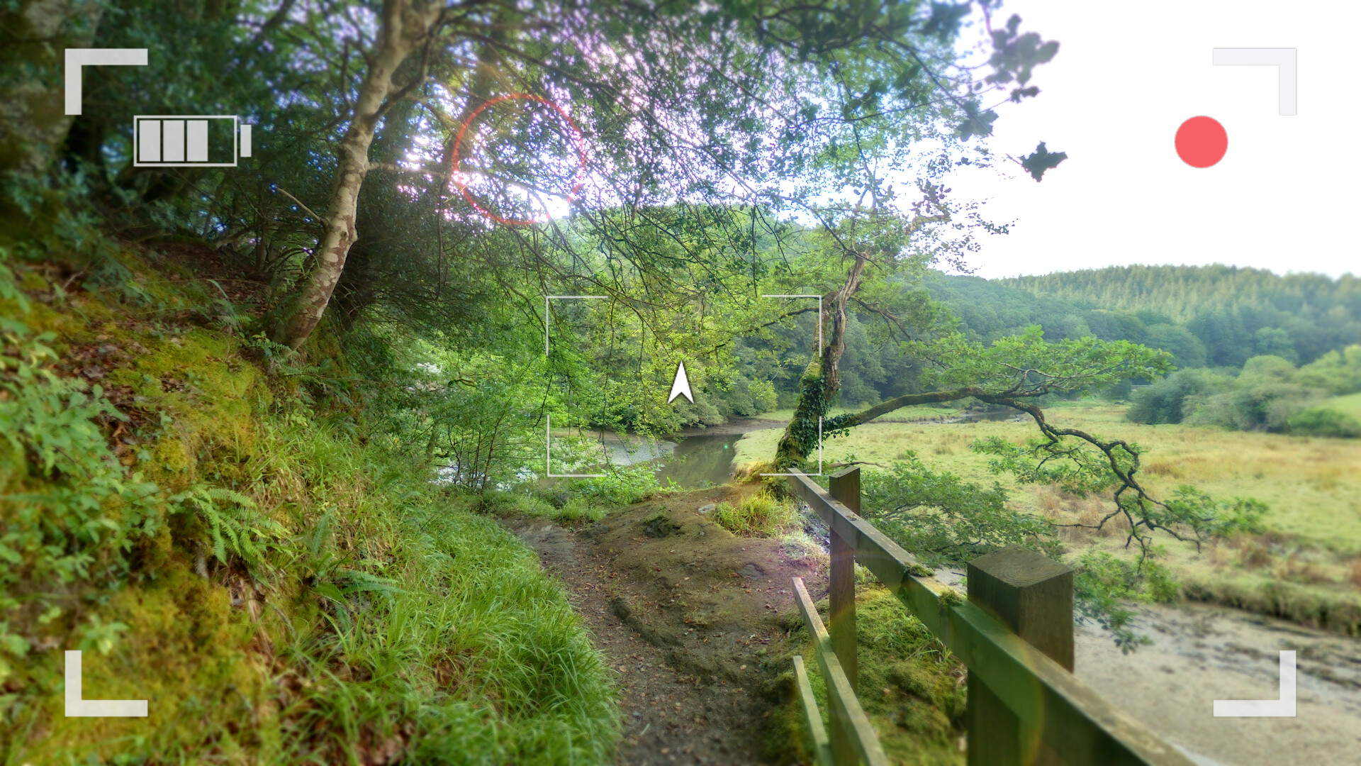 Wychwood Hollow screenshot 5