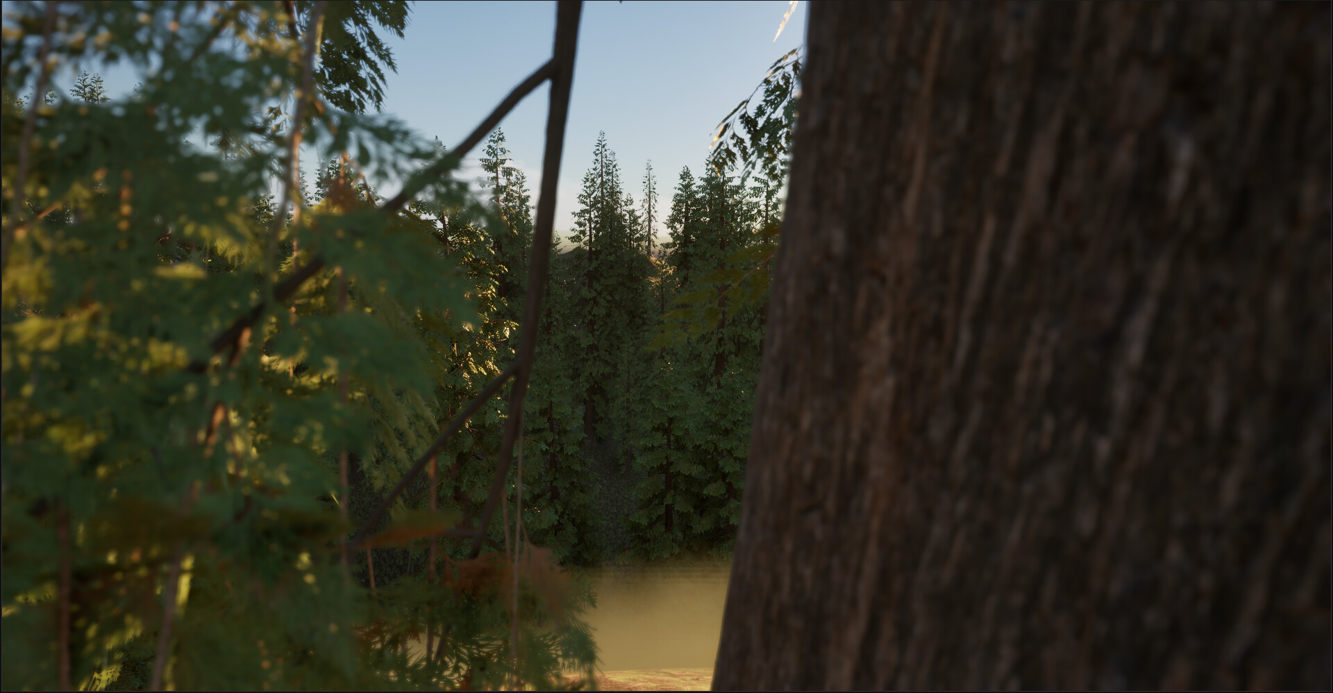 In The Woods screenshot 2