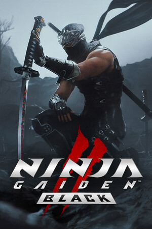 NINJA GAIDEN 2 Black cover art