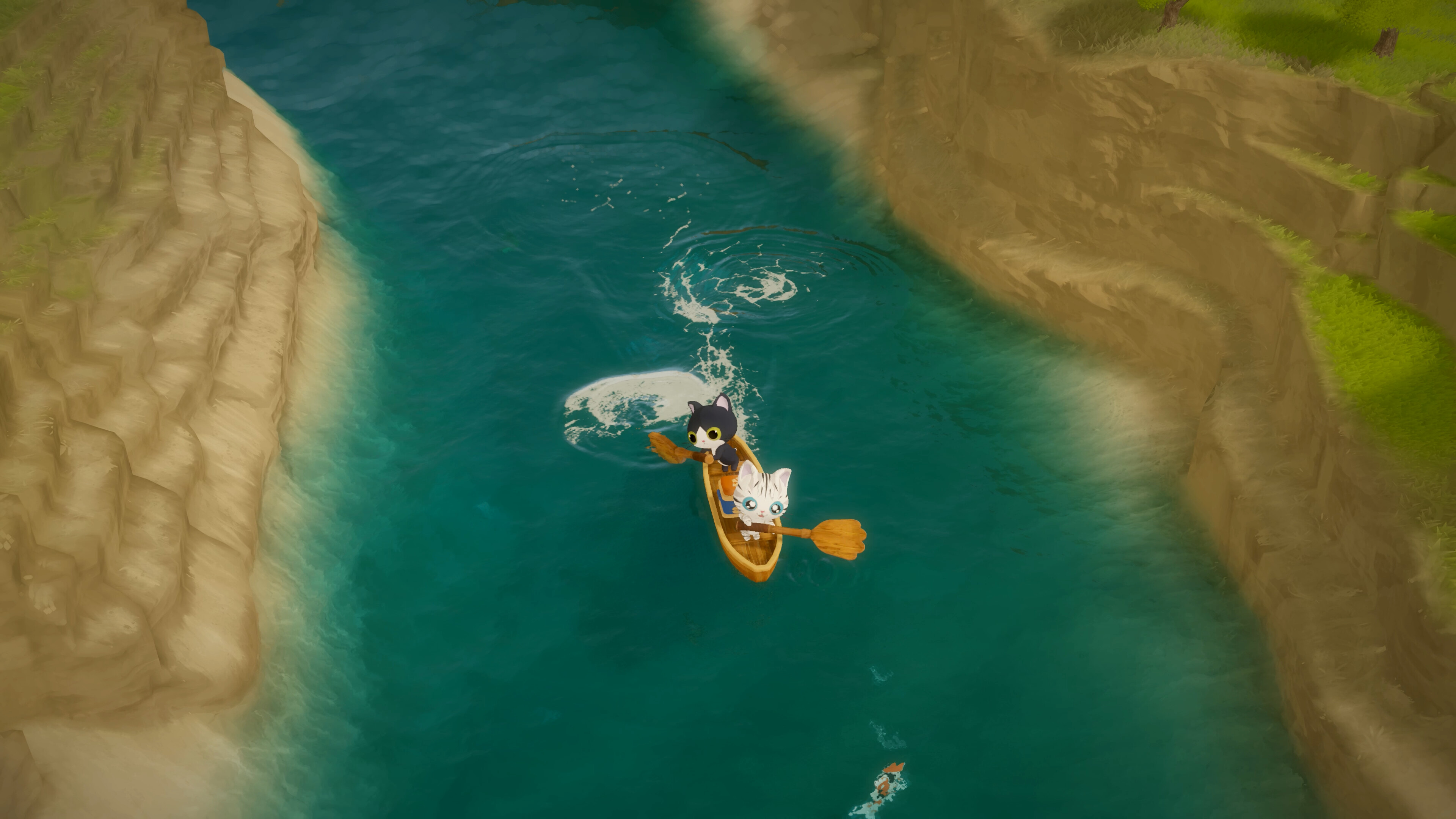 Paddle Cats trailer
