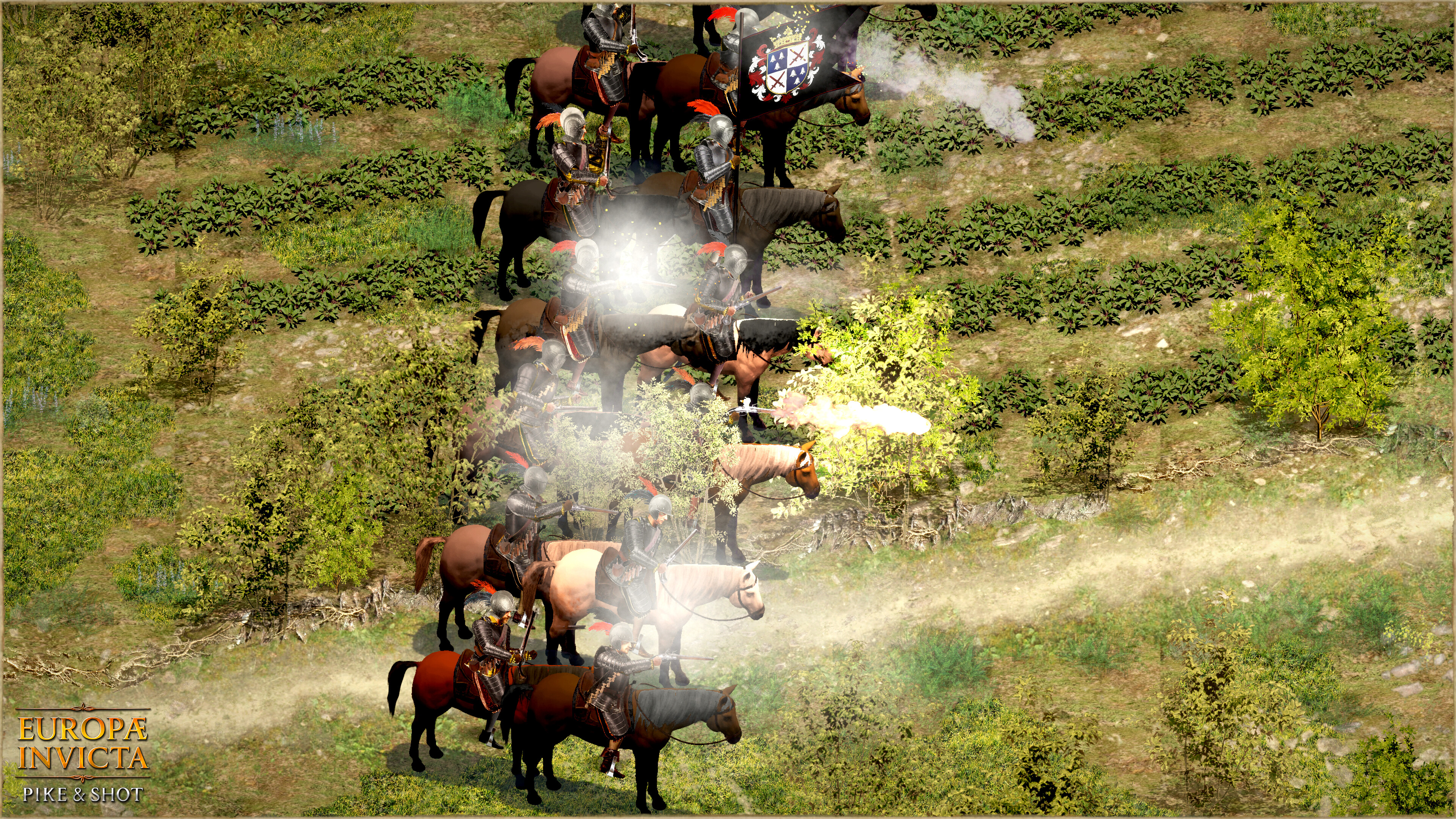 Europae Invicta: Pike and Shot screenshot 5