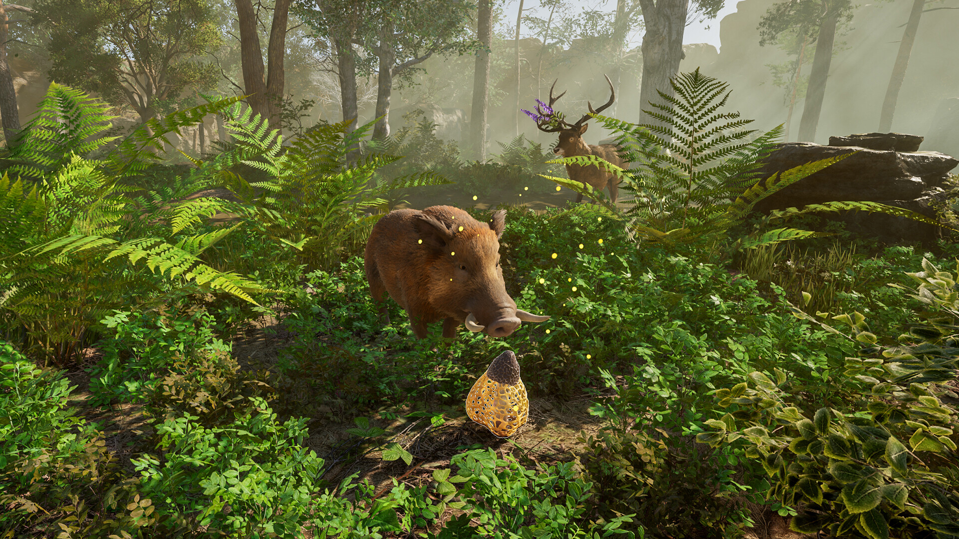 Wild Terrain screenshot 4