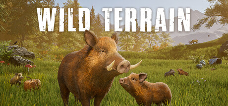 Cover art from Wild Terrain