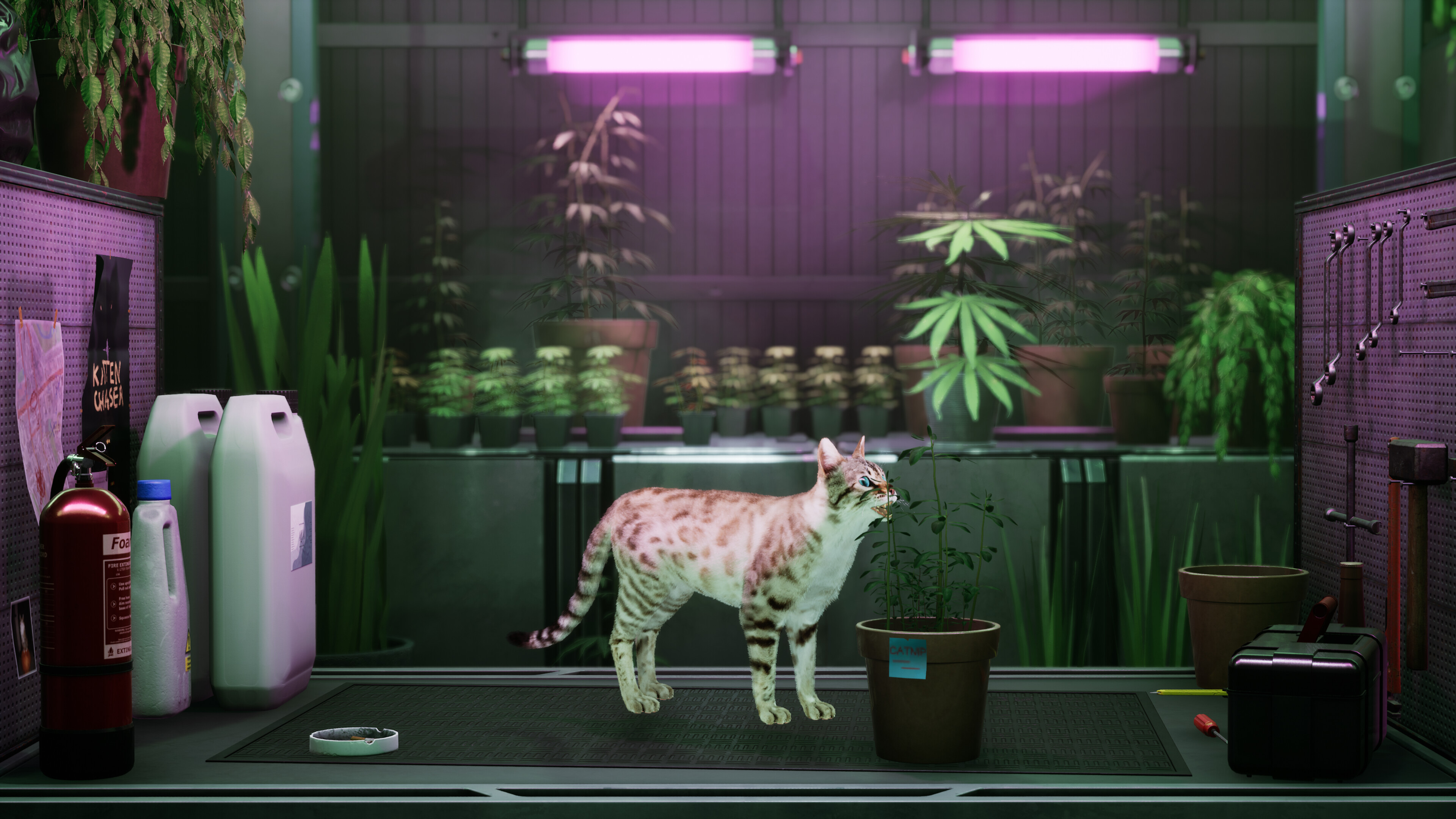Catfall trailer