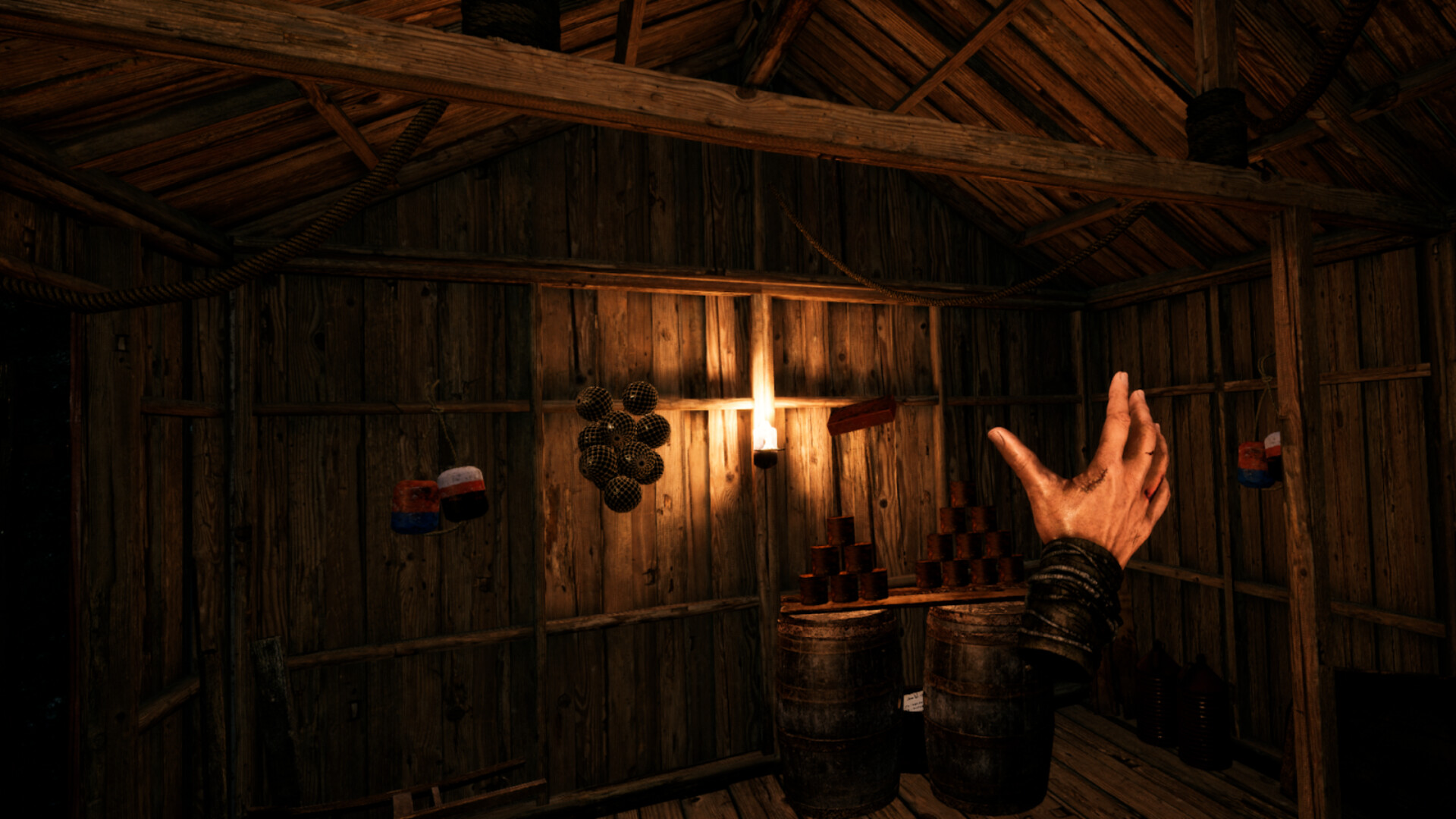 FYR: The Lost Island screenshot 4