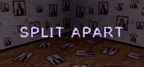 Cover art from Split Apart