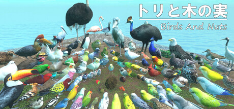 Birds and Nuts