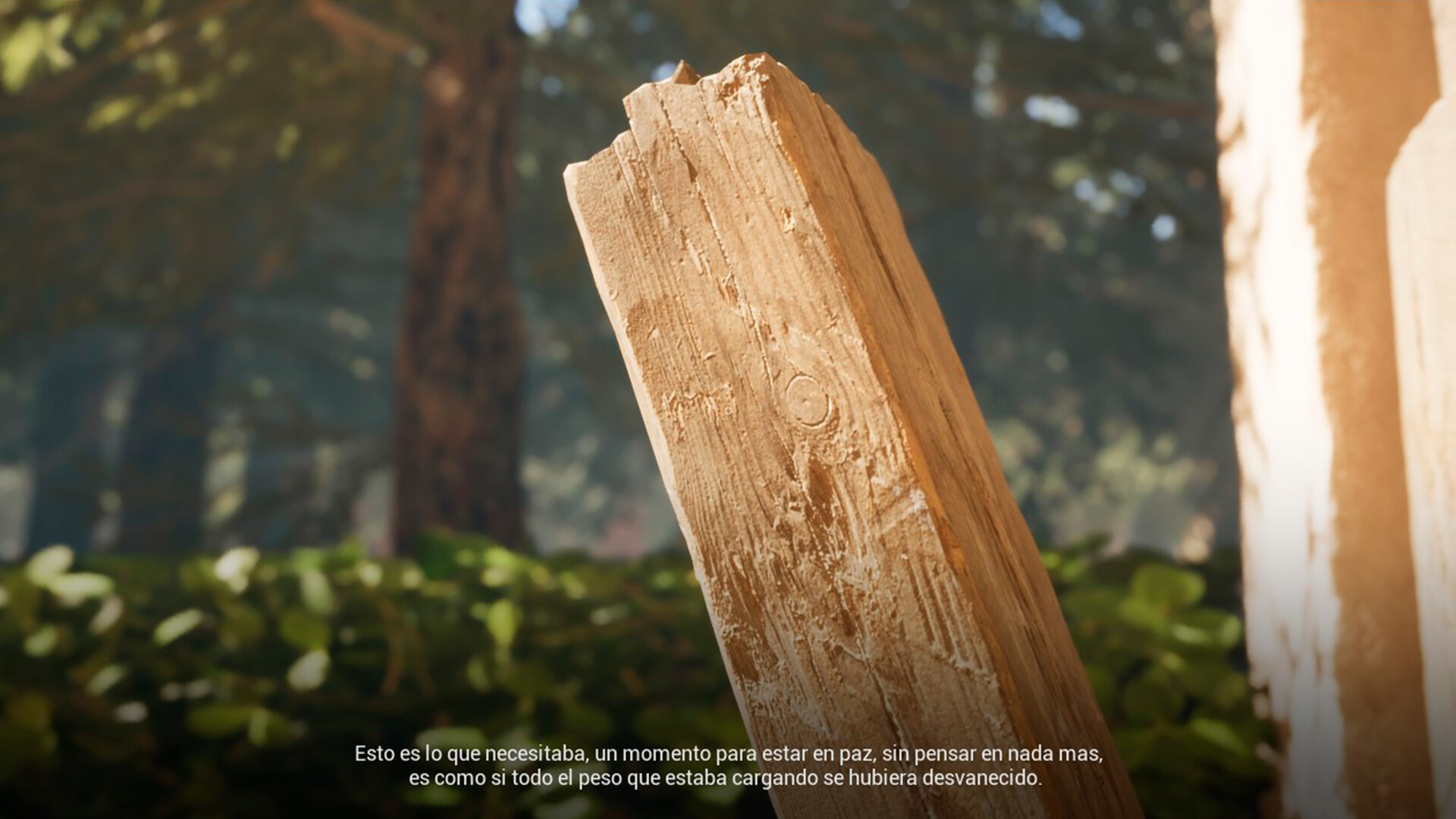 Mentes y Lienzos screenshot 3
