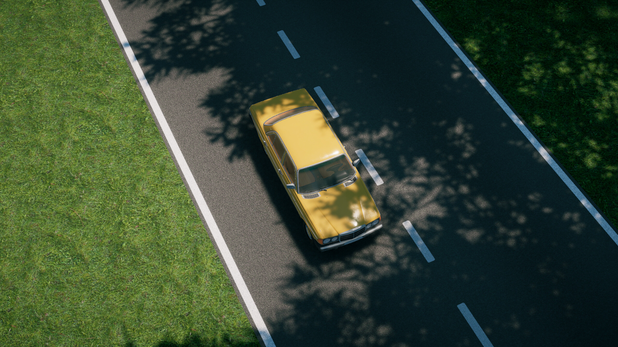 Country Drive Simulator screenshot 4