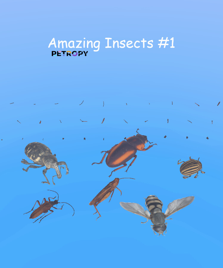 Retropy VR: Amazing Insects #1