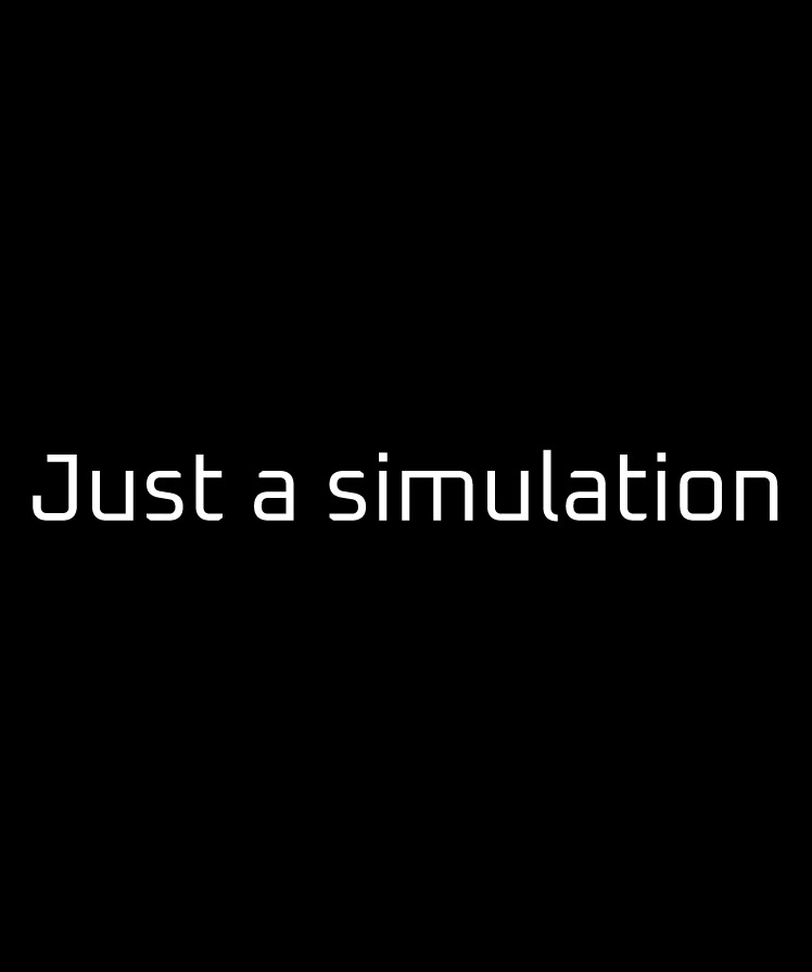 Just a simulation