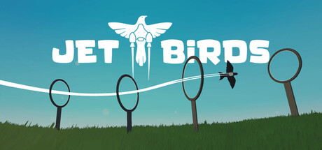 Cover art from Jet Birds