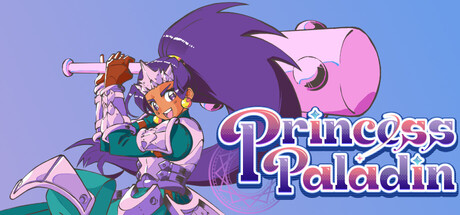 Cover art from Princess Paladin