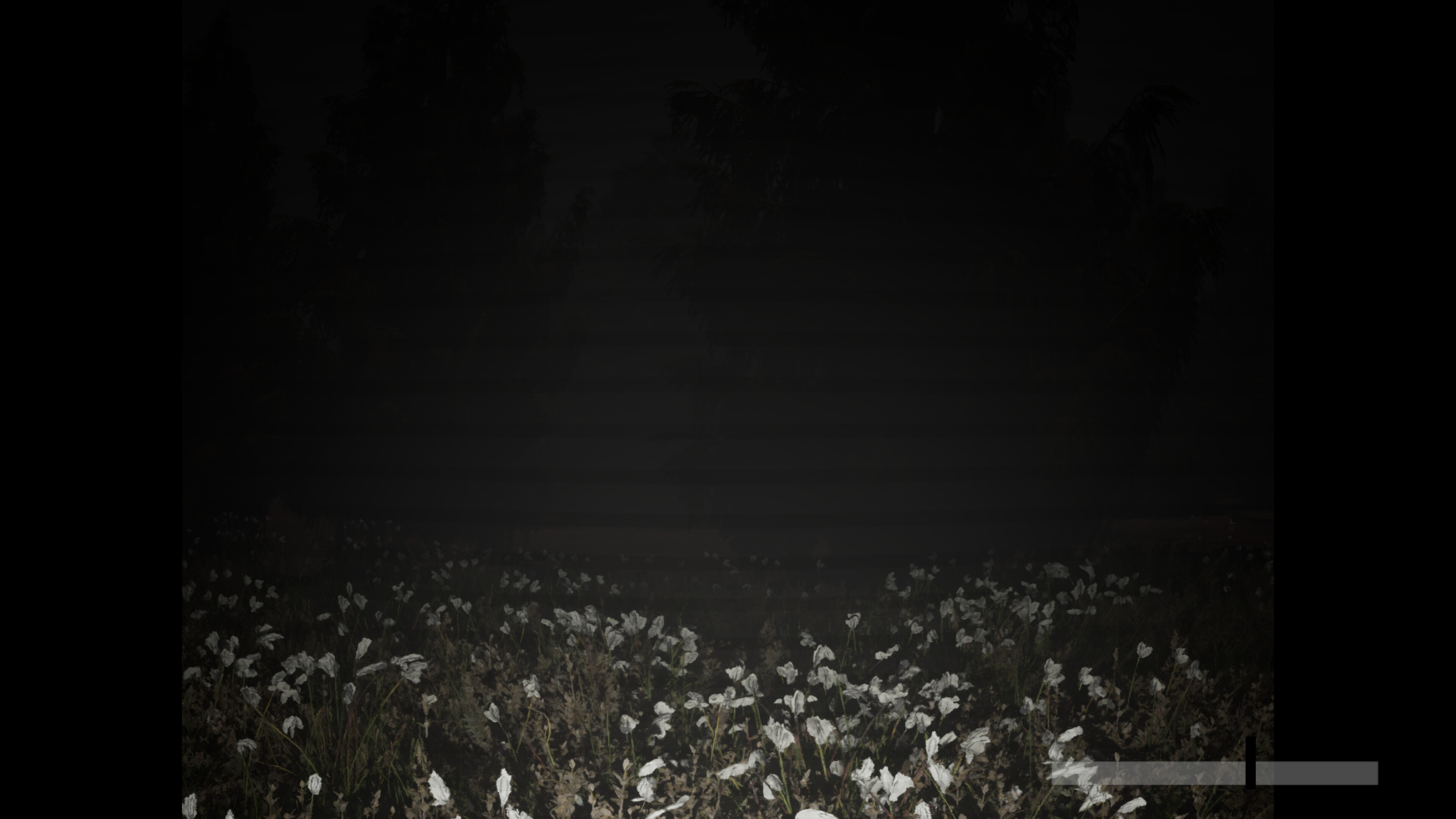 Wildervan Files screenshot 1