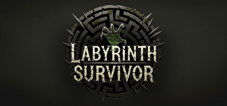 Cover art from Labyrinth Survivor