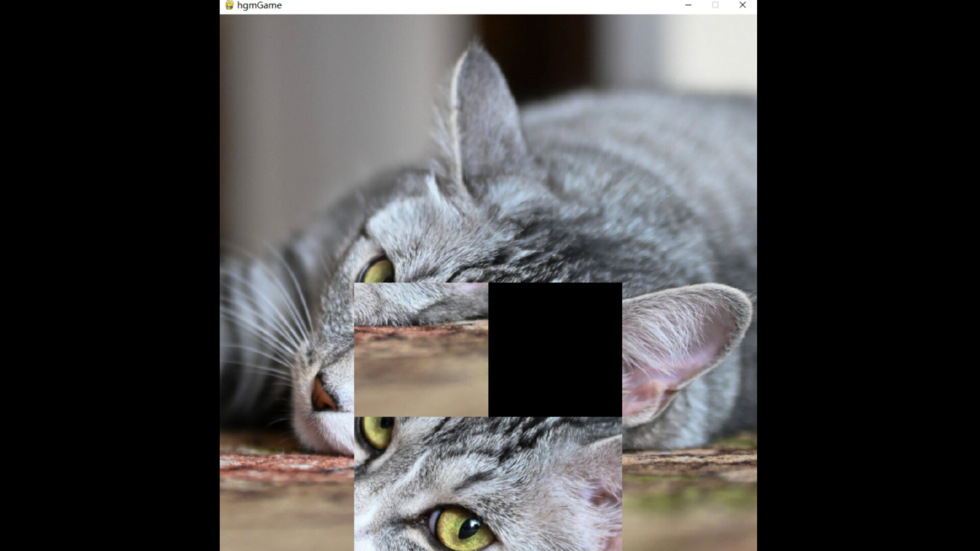 hgmGame-cat screenshot 4