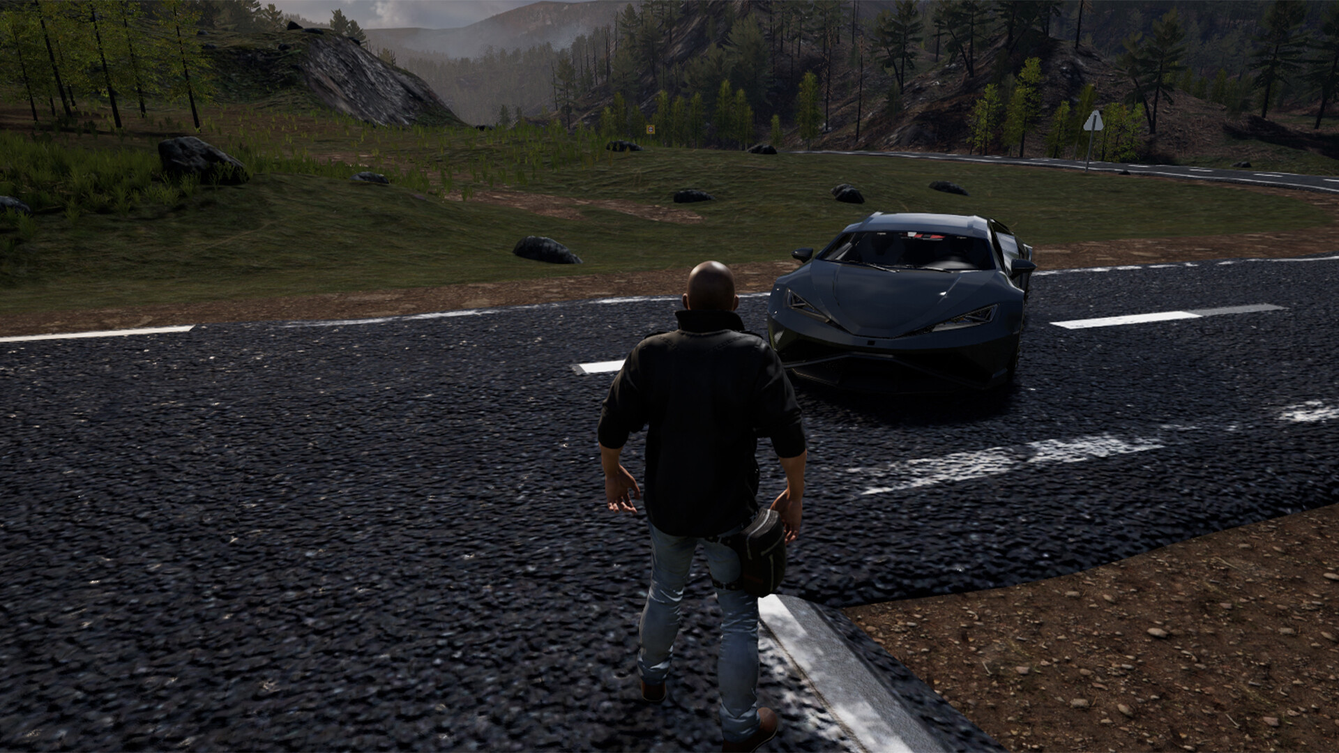 Nisukka Racing Simulation screenshot 3