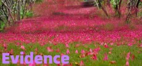 Cover art from Evidence