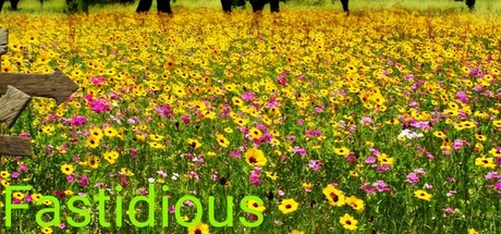 Cover art from Fastidious