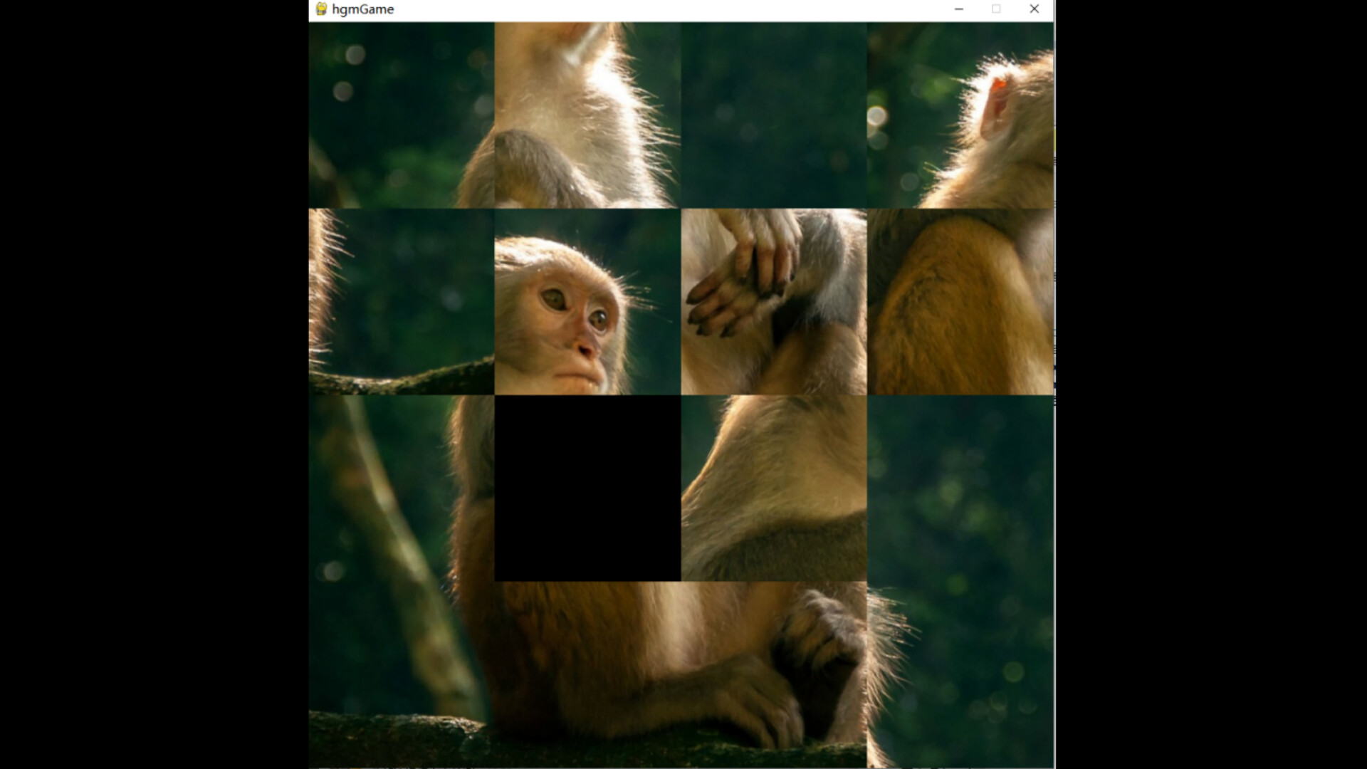 hgmGame-monkey trailer