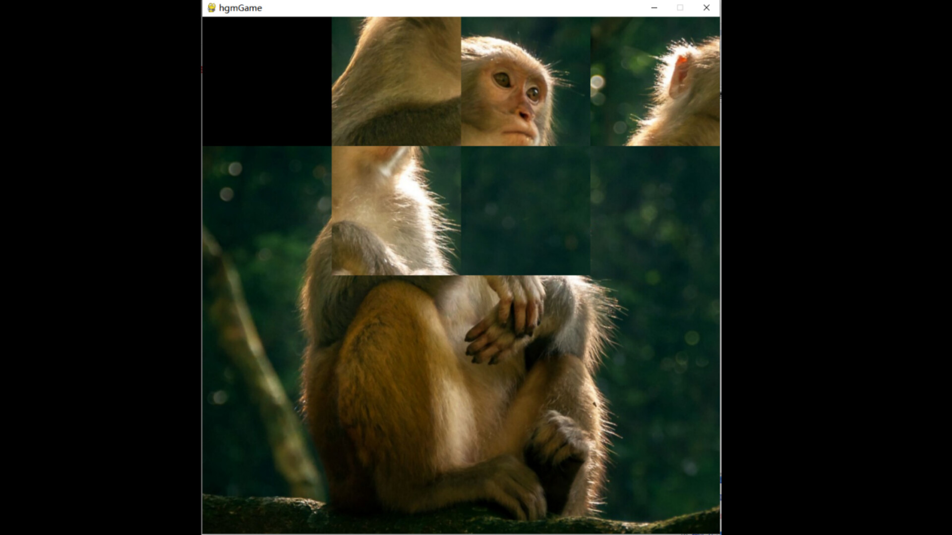 hgmGame-monkey screenshot 3