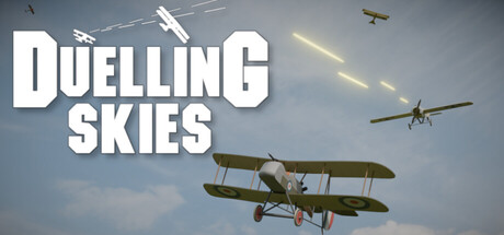 Cover art from Duelling Skies