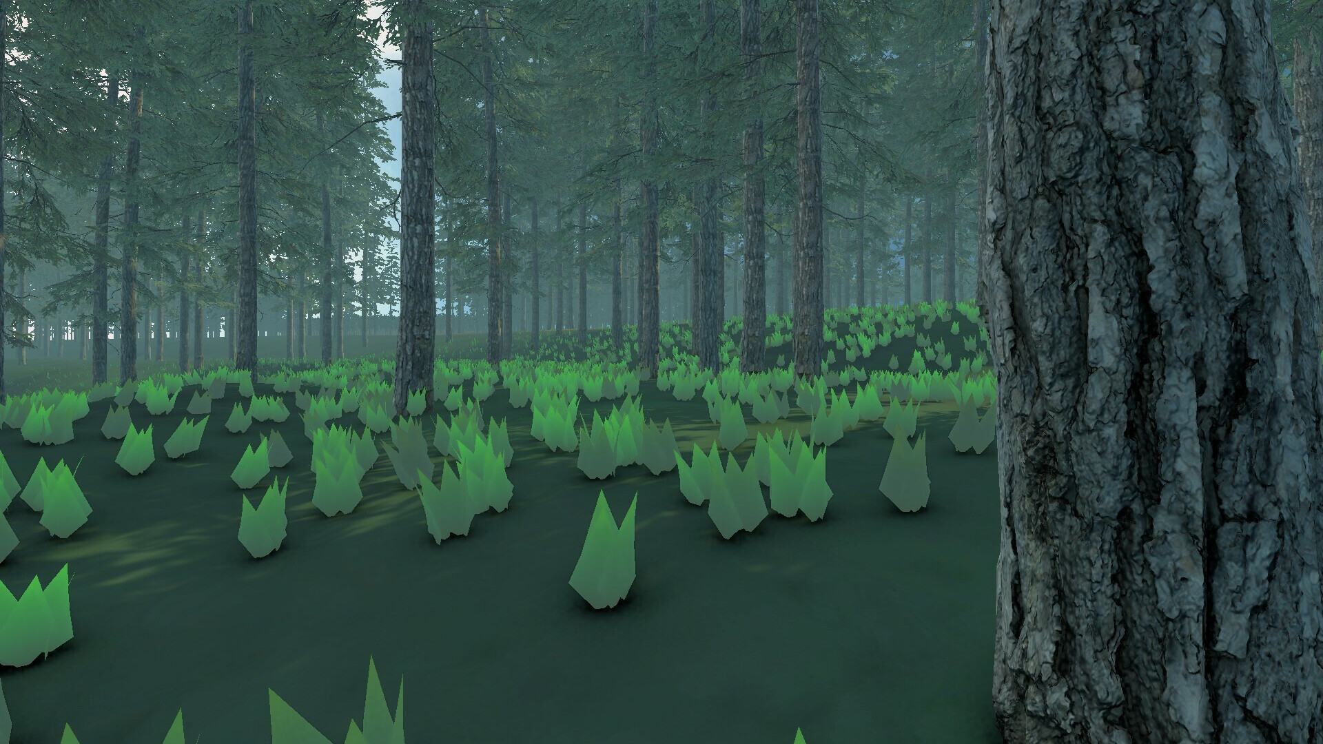 Orienteering VR trailer